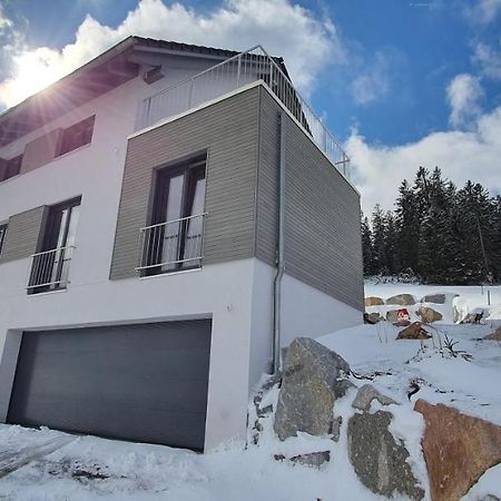 Adlernest Apartment Feldberg  Bagian luar foto