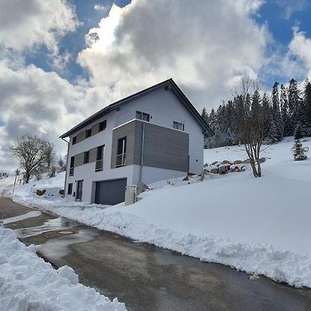 Adlernest Apartment Feldberg  Bagian luar foto