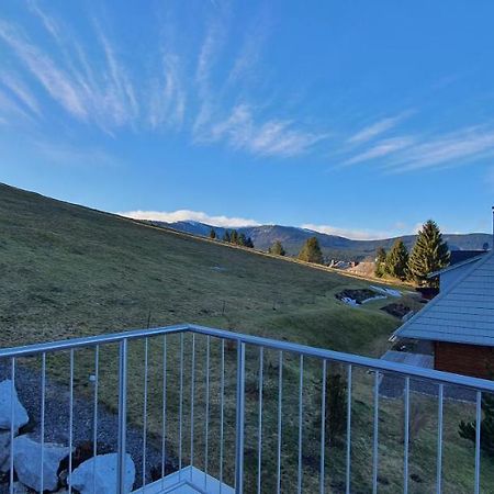 Adlernest Apartment Feldberg  Bagian luar foto