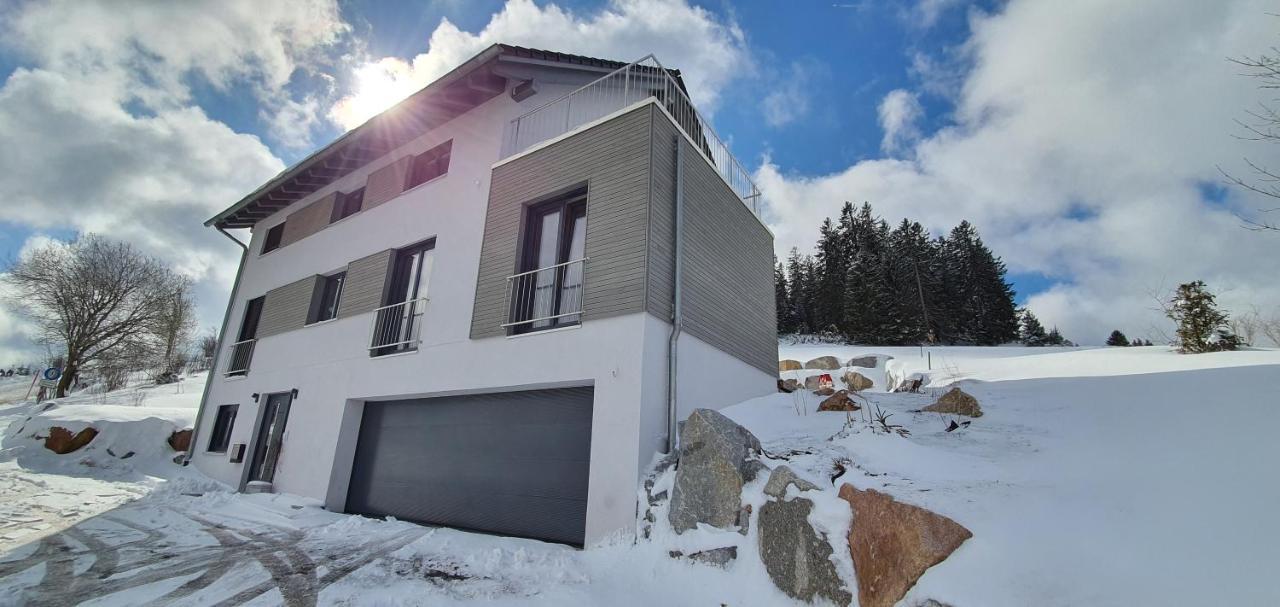 Adlernest Apartment Feldberg  Bagian luar foto