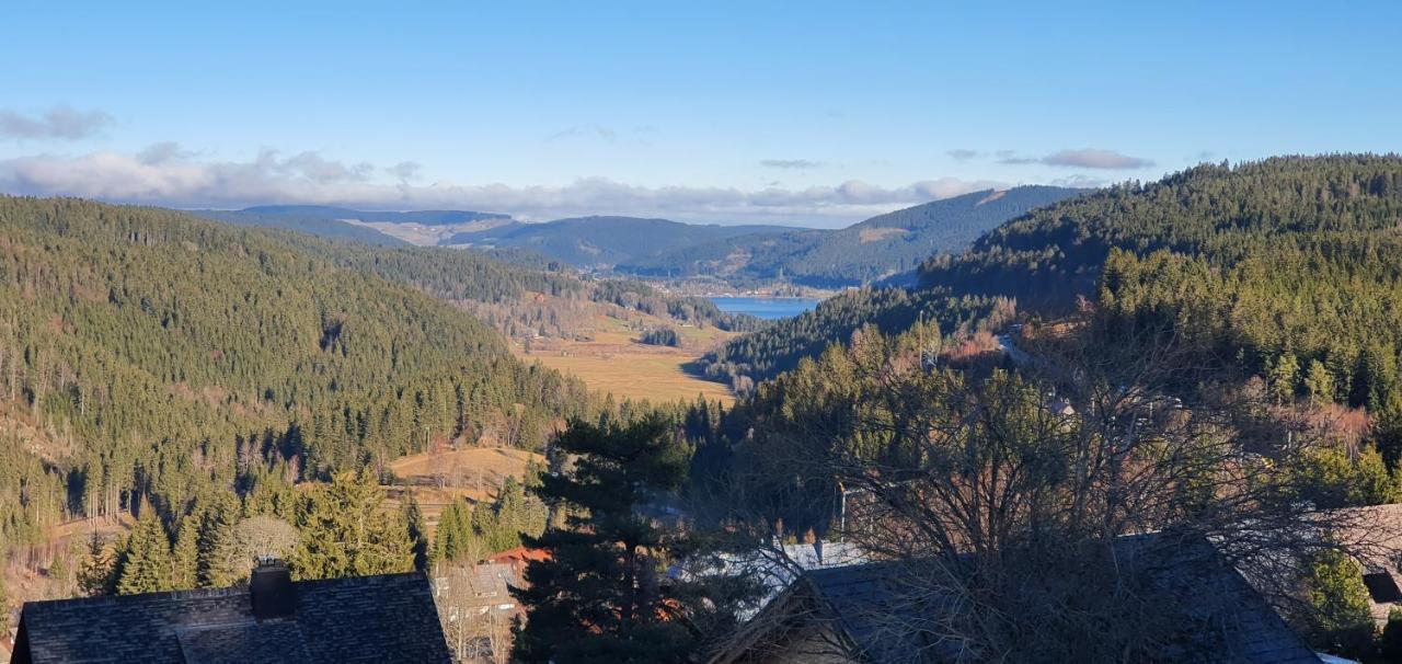 Adlernest Apartment Feldberg  Bagian luar foto